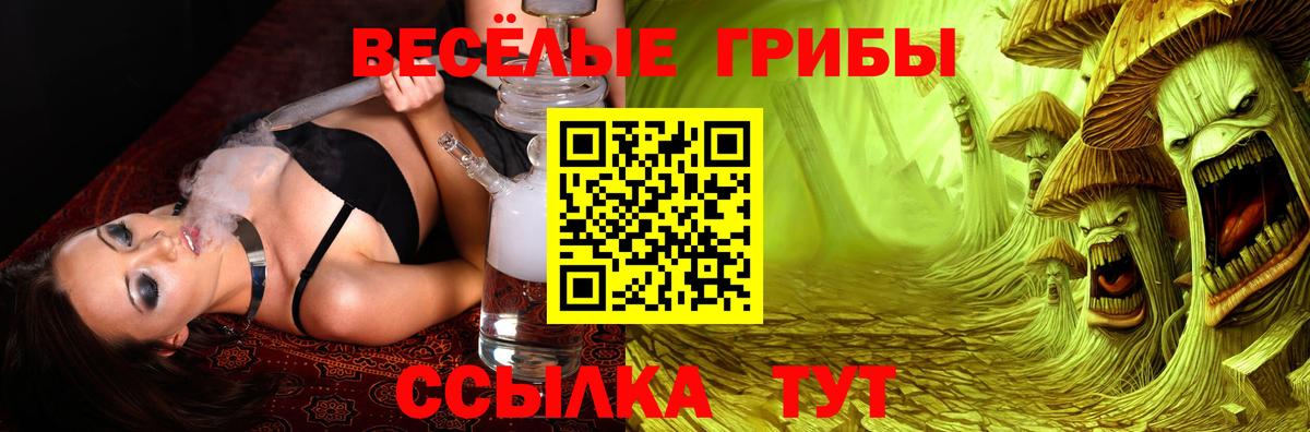 Оренбург  Галлюциногенные грибы GOLDEN TEACHER  Вход с VPN 